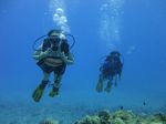 Hawaii Scuba divng 20