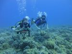 Hawaii Scuba divng 21