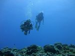 Hawaii Scuba divng 22