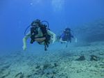 Hawaii Scuba divng 23