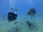 Hawaii Scuba divng 24