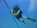 Hawaii Scuba divng 26