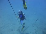 Hawaii Scuba divng 27