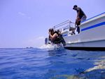 Hawaii Scuba divng 31