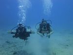 Hawaii Scuba divng 34