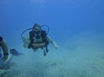 Hawaii Scuba divng 35
