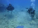 Hawaii Scuba divng 38