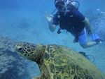 Hawaii Scuba divng 42