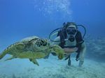 Hawaii Scuba divng 48