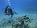 Hawaii Scuba divng 49