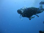 Hawaii Scuba divng 59