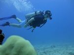 Hawaii Scuba divng 61