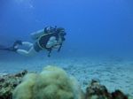 Hawaii Scuba divng 62