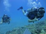 Hawaii Scuba divng 64