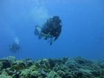 Hawaii Scuba divng 65