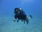 Hawaii Scuba divng 66