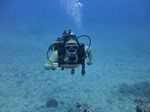 Hawaii Scuba divng 67