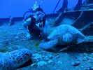 Hawaii Scuba divng 10