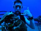 Hawaii Scuba divng 16