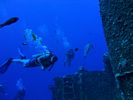 Hawaii Scuba divng 23