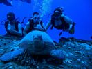 Hawaii Scuba divng 24
