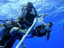 Hawaii Scuba divng 33