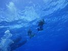 Hawaii Scuba divng 38