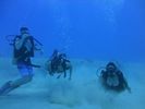 Hawaii Scuba divng 41