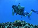 Hawaii Scuba divng 42