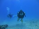 Hawaii Scuba divng 43