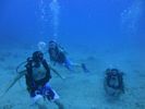 Hawaii Scuba divng 44