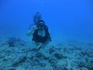 Hawaii Scuba divng 47