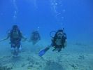 Hawaii Scuba divng 51