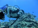 Hawaii Scuba divng 61