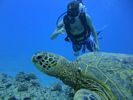 Hawaii Scuba divng 64