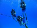 Hawaii Scuba divng 77