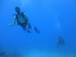 Hawaii Scuba divng 17