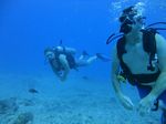 Hawaii Scuba divng 18