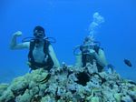 Hawaii Scuba divng 19