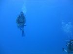 Hawaii Scuba divng 20