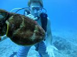 Hawaii Scuba divng 24