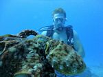 Hawaii Scuba divng 25