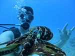 Hawaii Scuba divng 26