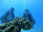 Hawaii Scuba divng 30