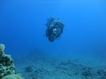 Hawaii Scuba divng 36