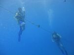 Hawaii Scuba divng 40
