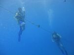 Hawaii Scuba divng 40