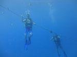 Hawaii Scuba divng 41