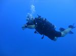 Hawaii Scuba divng 46