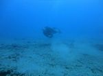 Hawaii Scuba divng 49